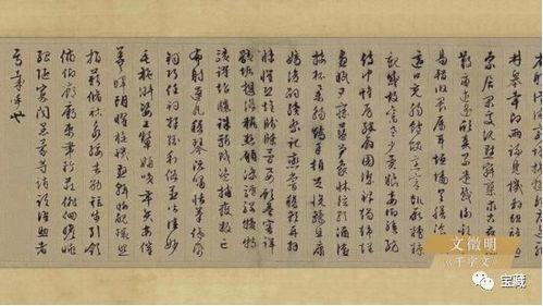 书法家在线视频,跟随名家笔触领略传统魅力