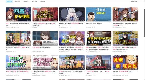 国v中文在线视频,深度解析环保新标准