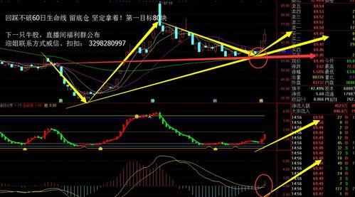 在线视频教育股票,崛起的新兴市场投资热点